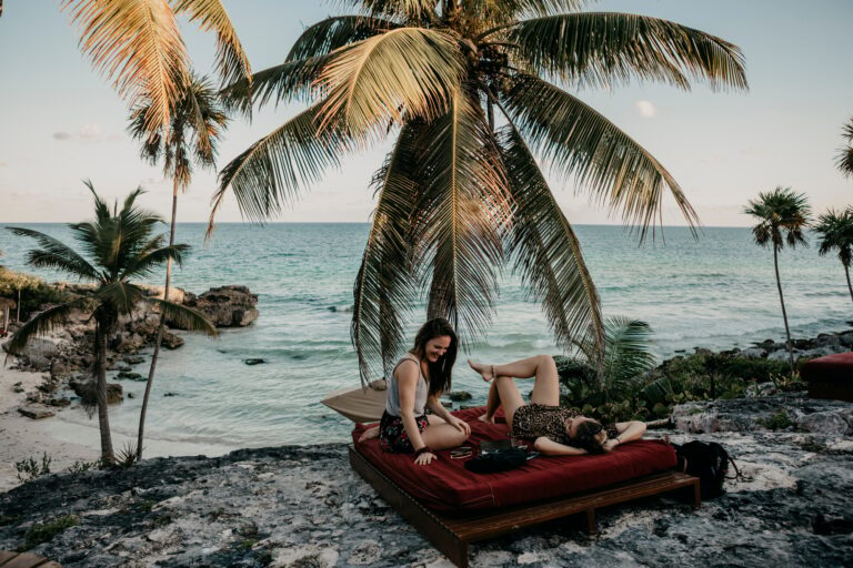 Coastal travel scene with palm trees and ocean
